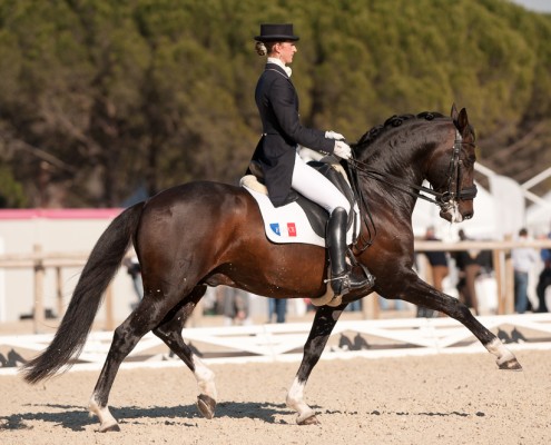 Alizée FROMENT (FRA) sur Mistral du Cossoul (lusitanien)